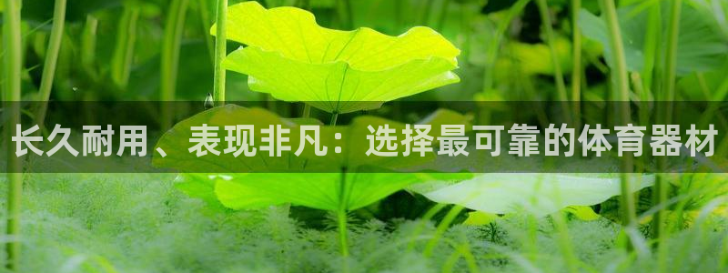 星娱乐文化传媒有限公司：长久耐用、表现非凡：选择最可