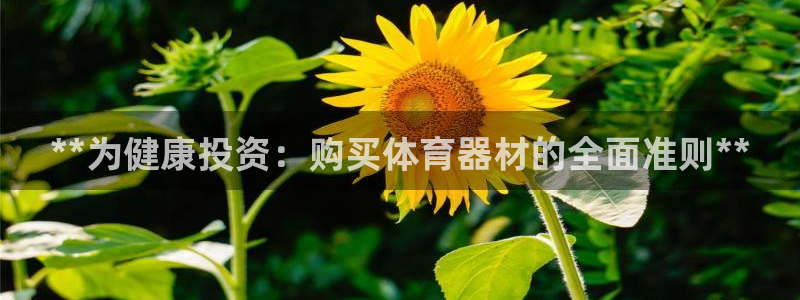 星欧娱乐官方客服联系方式查询