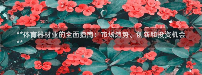 星游娱乐下载地址：**体育器材业的全面指南：市场趋势