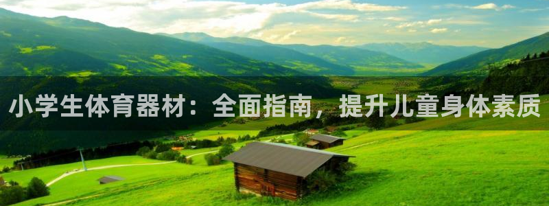 永韬星娱乐：小学生体育器材：全面指南，提升儿童身体素