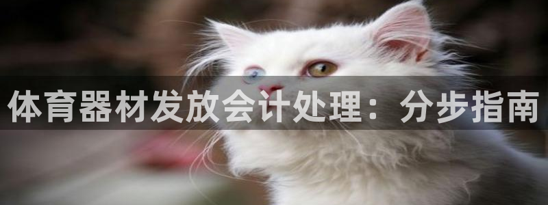 星欧娱乐挂机教程视频：体育器材发放会计处理：分步指南