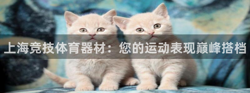 星欧娱乐最建议买的三个产品是什么