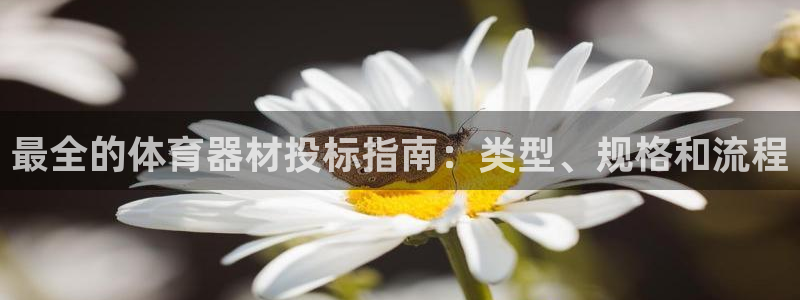 星欧娱乐扣款时间查询方法是什么呢：最全的体育器材投标