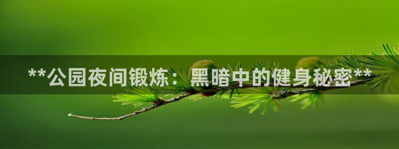 星澳娱乐公司简介：**公园夜间锻炼：黑暗中的健身秘密