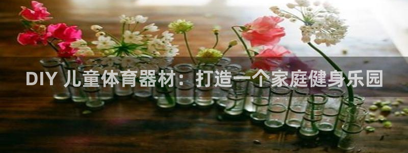 星欧娱乐的创始人背景故事：DIY 儿童体育器材：打造