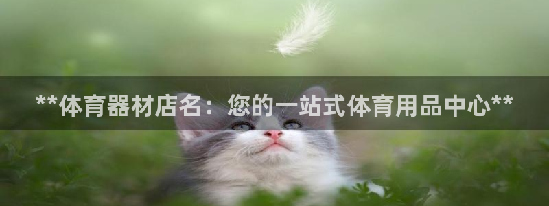 星奥娱乐待遇怎么样：**体育器材店名：您的一站式体育