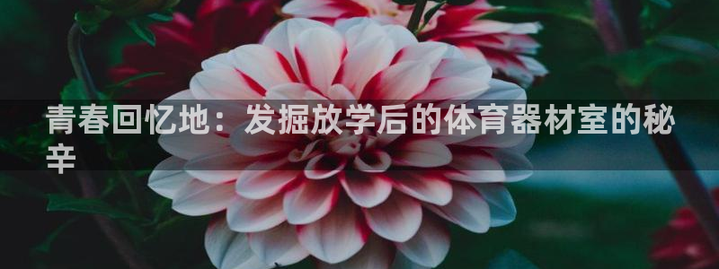 星欧娱乐平台怎么样知乎：青春回忆地：发掘放学后的体育