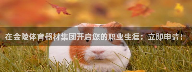 星欧娱乐工711.112怎么没有了：在金陵体育器材集