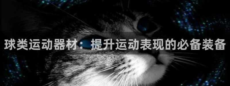 星欧娱乐联客服联系方式：球类运动器材：提升运动表现的