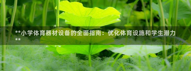 星欧娱乐工客服电话24小时人工服务：**小学体育器材