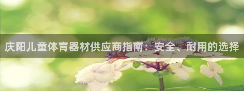 星欧娱乐的创始人背景故事介绍：庆阳儿童体育器材供应商