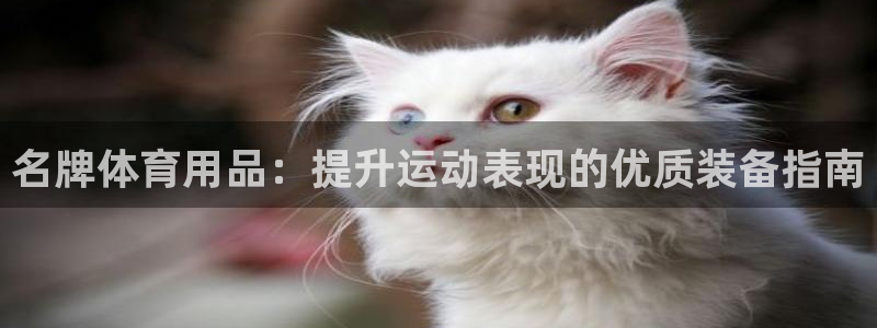 星欧娱乐挂机赚钱是真的吗：名牌体育用品：提升运动表现