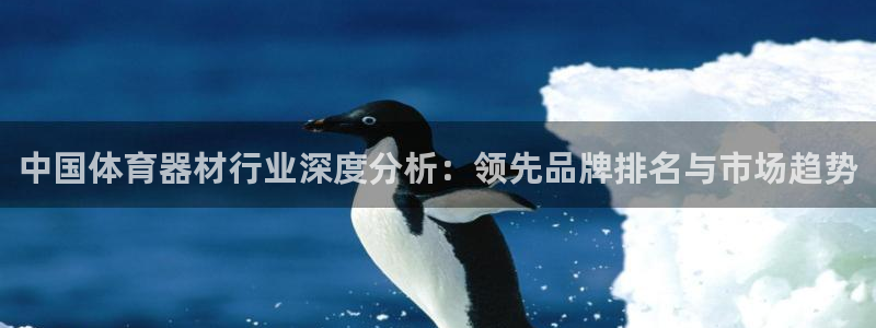 星欧娱乐是正规品牌吗：中国体育器材行业深度分析：领先