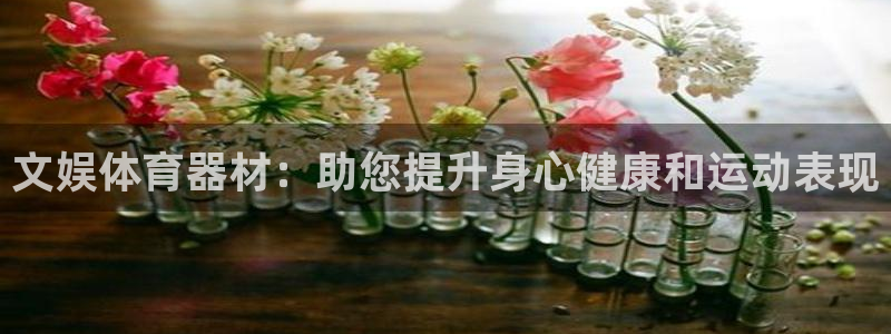 星欧娱乐和嫲薇他的区别是什么：文娱体育器材：助您提升