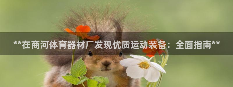 星欧娱乐挂机赚钱软件