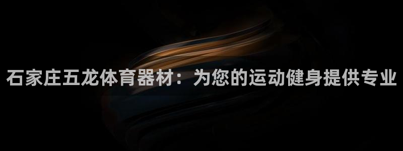 星欧娱乐的官方版本更新内容怎么删除：石家庄五龙体育器
