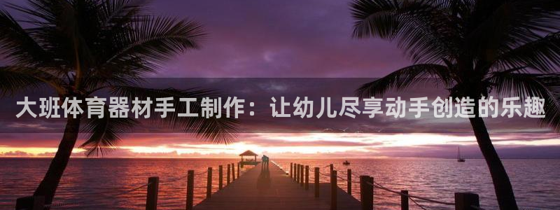 江苏星奥娱乐招艺人：大班体育器材手工制作：让幼儿尽享