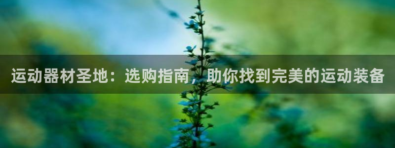 星欧娱乐和嫲薇他的区别是什么：运动器材圣地：选购指南