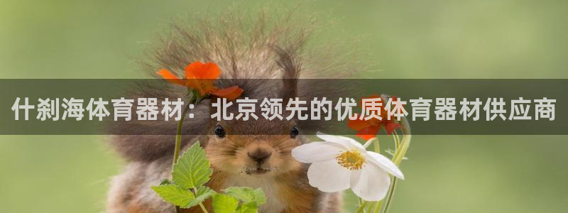 星奥娱乐招聘：什刹海体育器材：北京领先的优质体育器材
