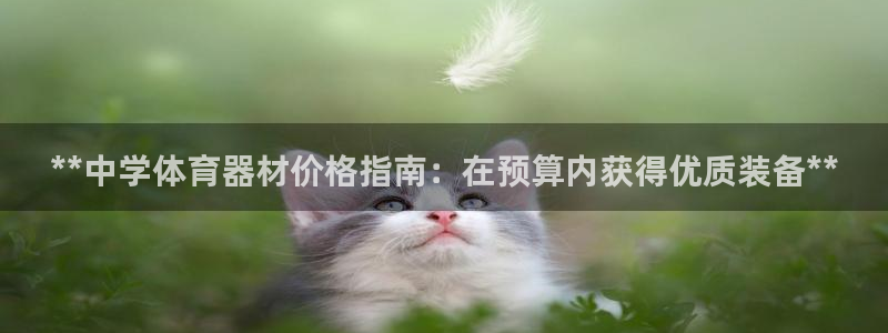 江苏星奥娱乐有限公司报名
