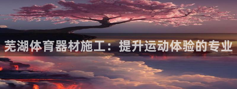 星欧娱乐平台怎么样啊安全吗：芜湖体育器材施工：提升运