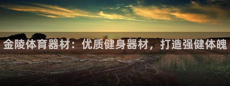 星奥娱乐集团股份有限公司怎么样：金陵体育器材：优质健