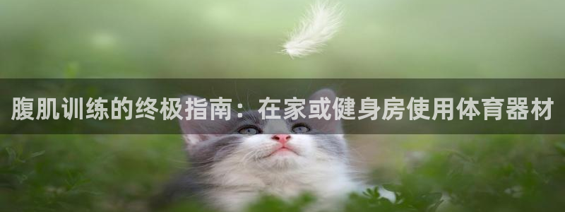 星欧娱乐的官方版本更新内容：腹肌训练的终极指南：在家