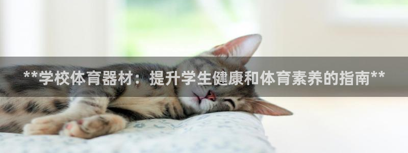 星欧娱乐联和哪个品牌合作：**学校体育器材：提升学生