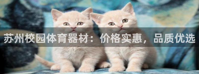 星欧娱乐app最新版本更新内容是什么：苏州校园体育器