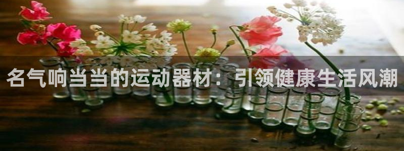 星欧娱乐游戏中心官网登录：名气响当当的运动器材：引领