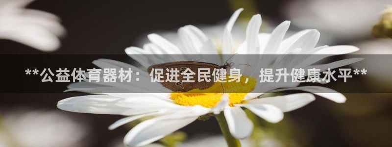 星欧娱乐的官方版本更新内容有哪些：**公益体育器材：