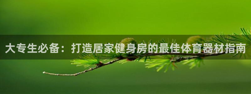 星欧娱乐挂机赚钱：大专生必备：打造居家健身房的最佳体