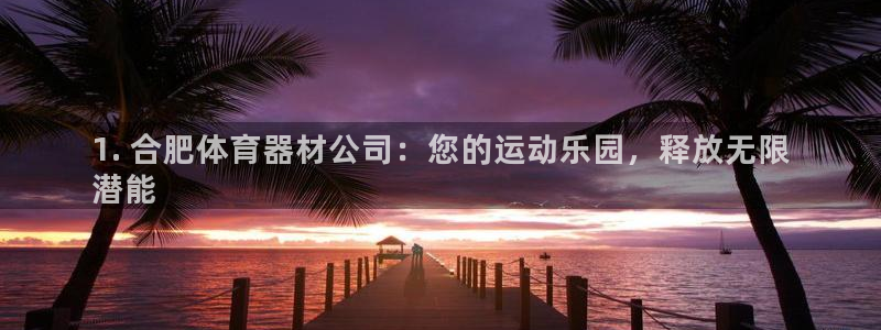 星娱乐是谁的公司：1. 合肥体育器材公司：您的运动乐