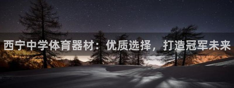 星欧娱乐的创始人背景故事：西宁中学体育器材：优质选择