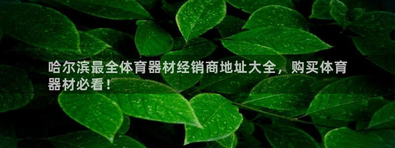 星欧娱乐平台怎么样知乎赚钱吗：哈尔滨最全体育器材经销