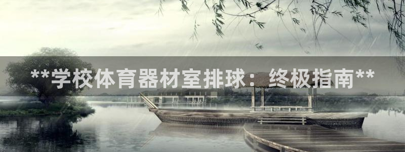 星欧娱乐退款流程详解：**学校体育器材室排球：终极指