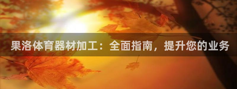 星欧娱乐扣款流程详解： 果洛体育器材加工：全面指南，