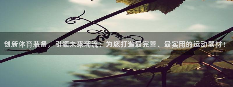 星欧娱乐联售后服务评价