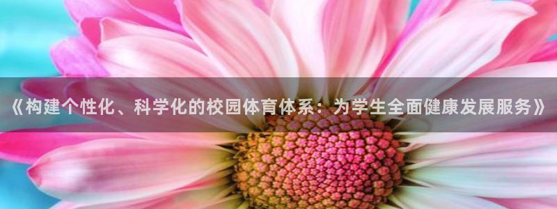 星欧娱乐平台测速线路设置