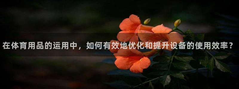 星欧娱乐最建议买的三个产品是什么