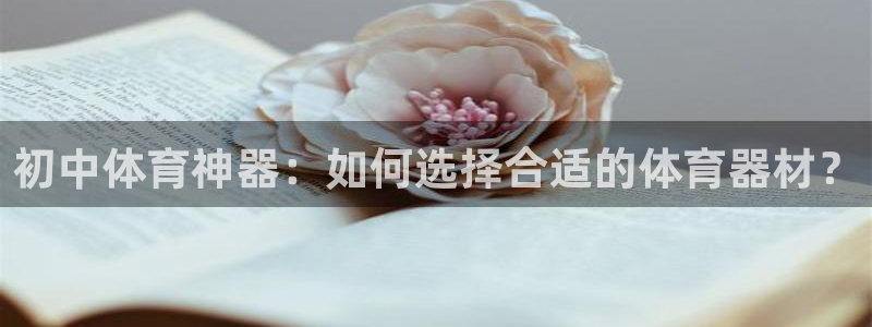 星欧娱乐属于什么档次的公司名称