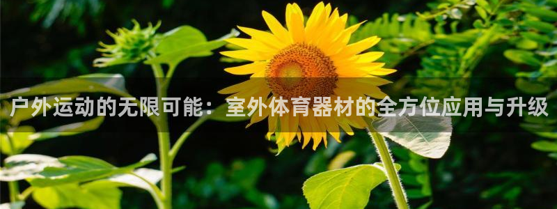 星欧娱乐官方客服联系方式电话