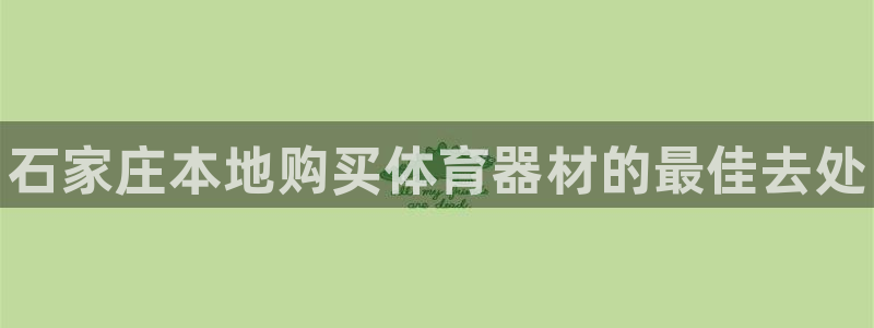 星欧娱乐扣款流程详解图片：石家庄本地购买体育器材的最佳去处