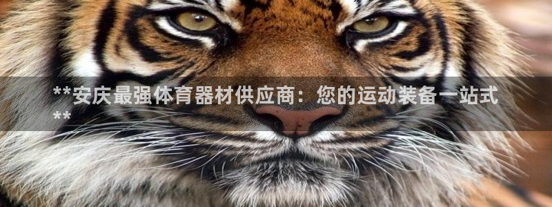 星欧娱乐最建议买的三个产品有哪些内容：**安庆最强体育器材供