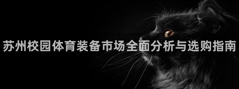星欧娱乐公司创始人背景故事介绍：苏州校园体育装备市场