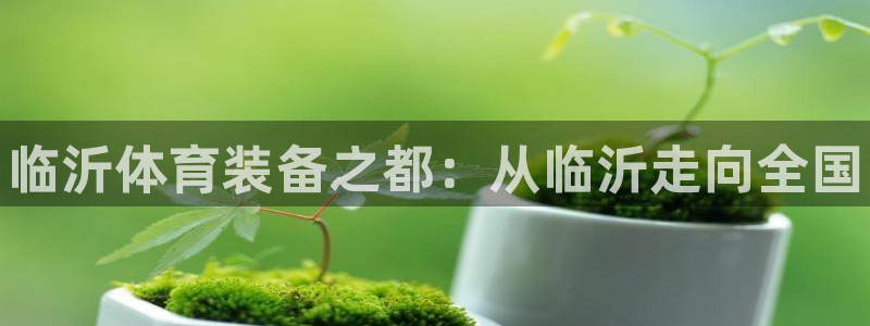 星欧娱乐扣钱步骤详解：临沂体育装备之都：从临沂走向全