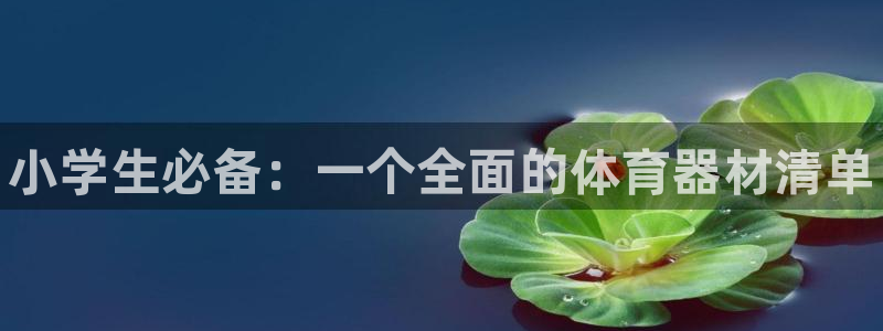 星欧娱乐法最新进展：小学生必备：一个全面的体育器材清