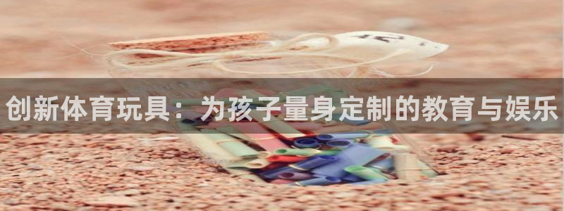 星欧娱乐挂机教程：创新体育玩具：为孩子量身定制的教育