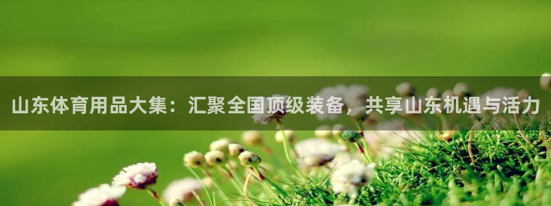 星欧娱乐最建议买的三个游戏账号：山东体育用品大集：汇