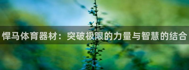 星欧娱乐挂机教程下载：悍马体育器材：突破极限的力量与